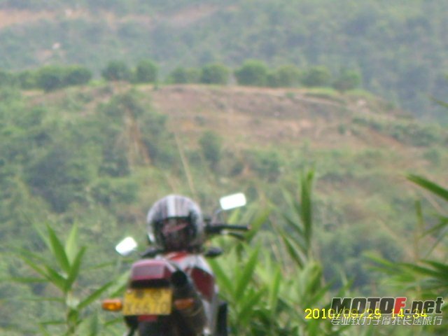 SL701360.JPG