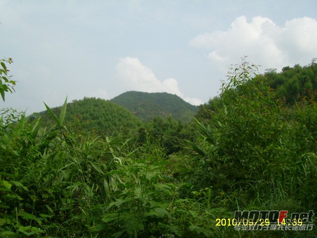 SL701363.JPG