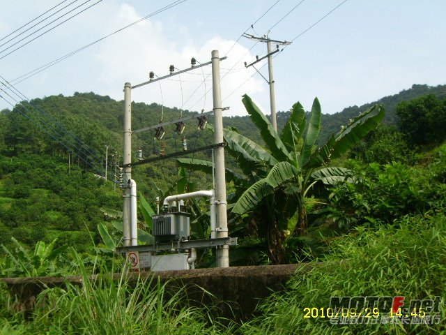 SL701365.JPG