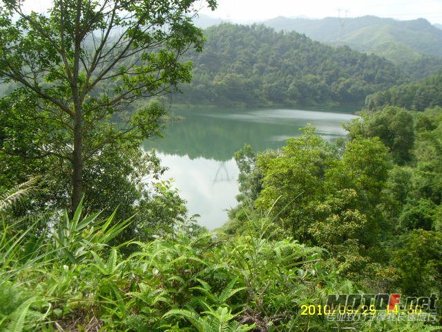 SL701368.JPG
