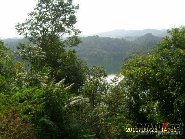 SL701369.JPG