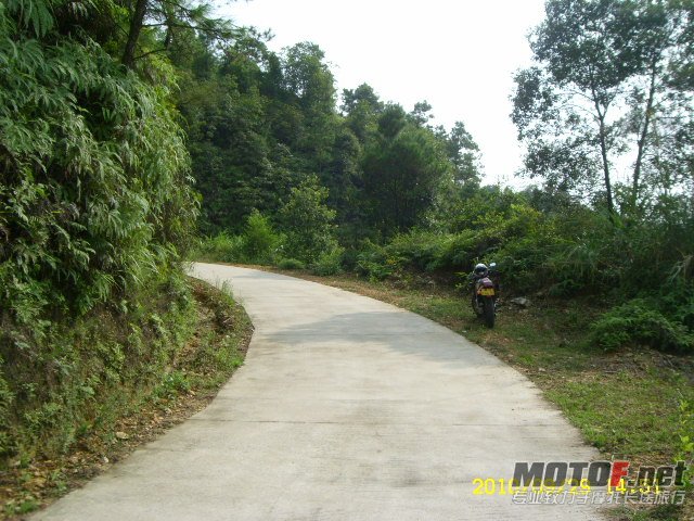 SL701370.JPG
