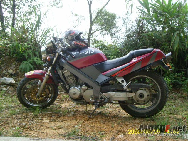 SL701372.JPG