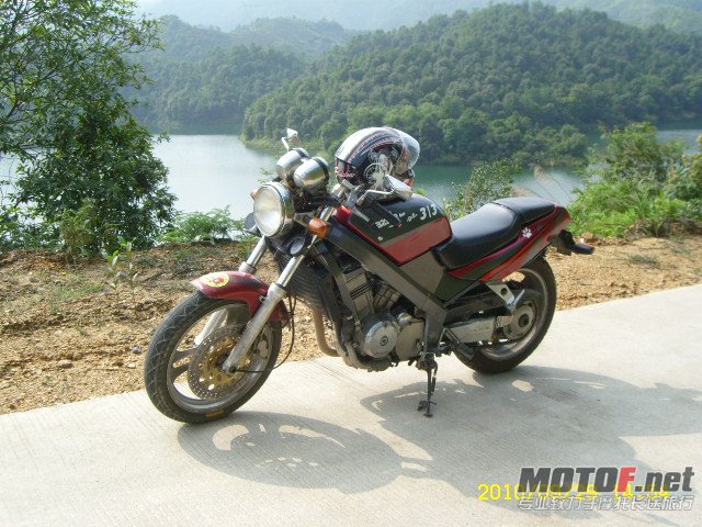 SL701373.JPG