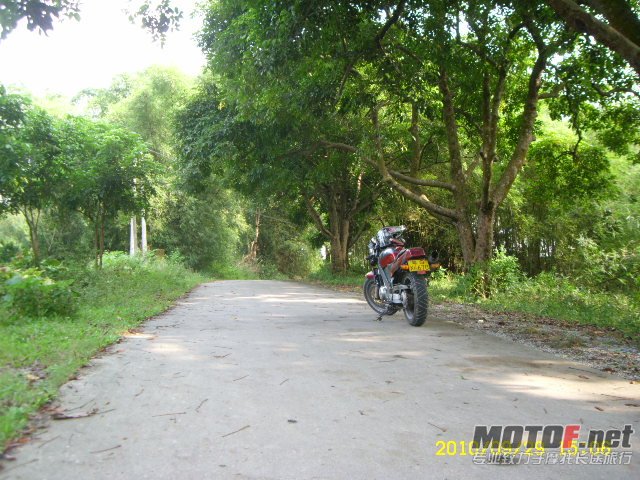 SL701379.JPG