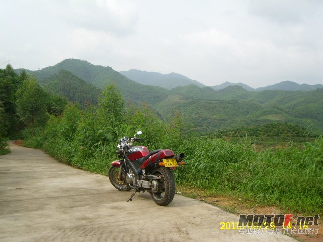SL701345.JPG