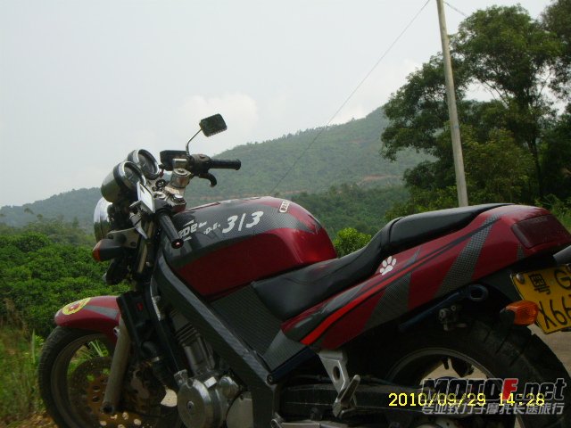 SL701353.JPG