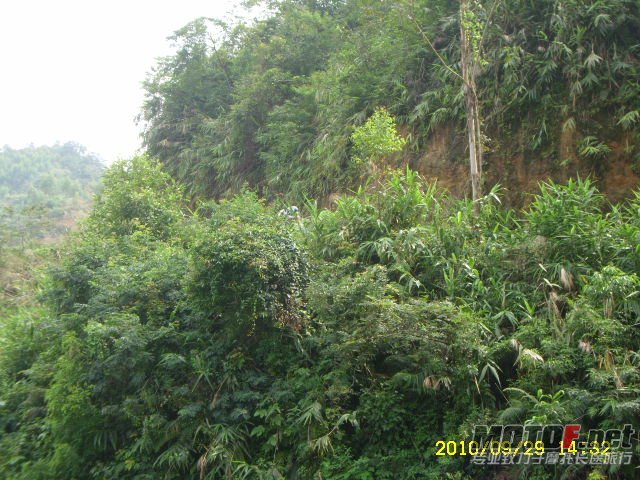 SL701357.JPG