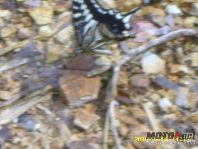 SL701358.JPG