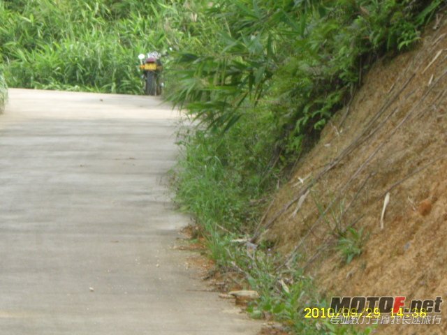 SL701362.JPG