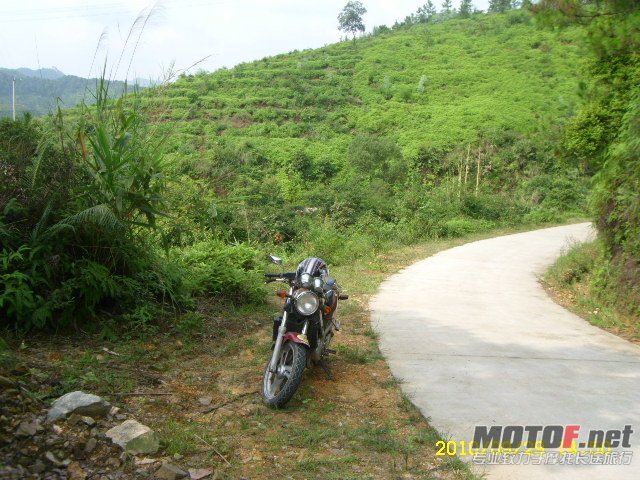 SL701366.JPG