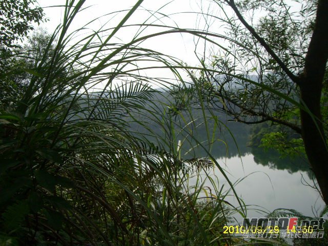 SL701367.JPG