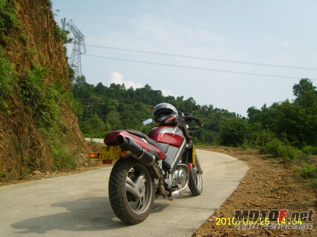 SL701375.JPG