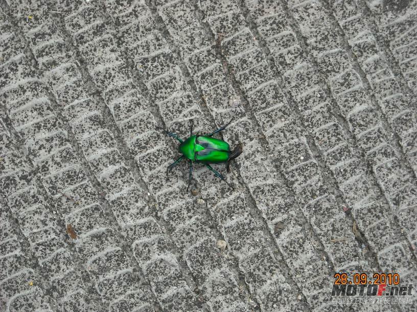 照片 103.jpg