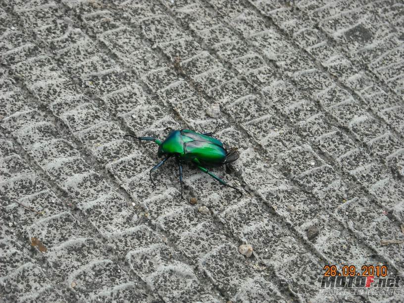 照片 106.jpg