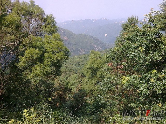 图像5120.jpg