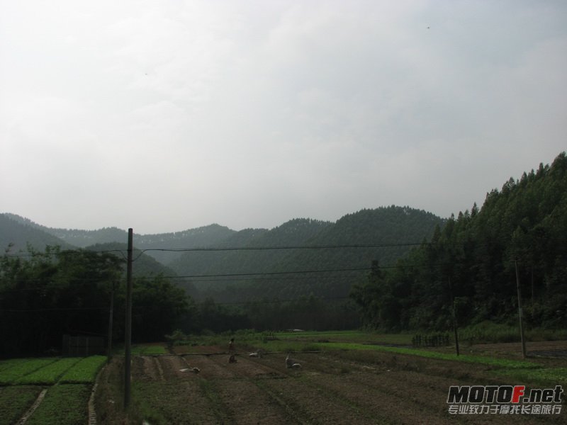 IMG_2687.jpg