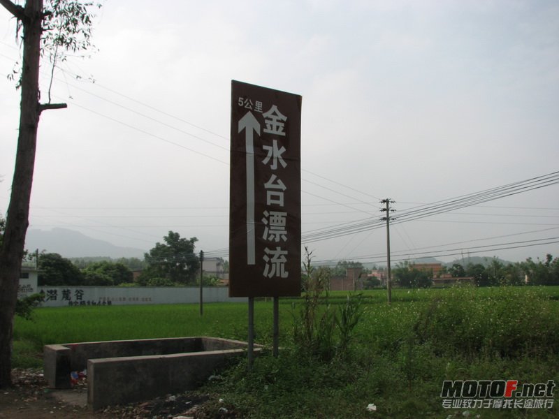 IMG_2694.jpg
