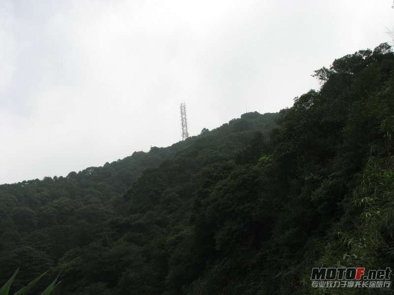 IMG_2795.jpg