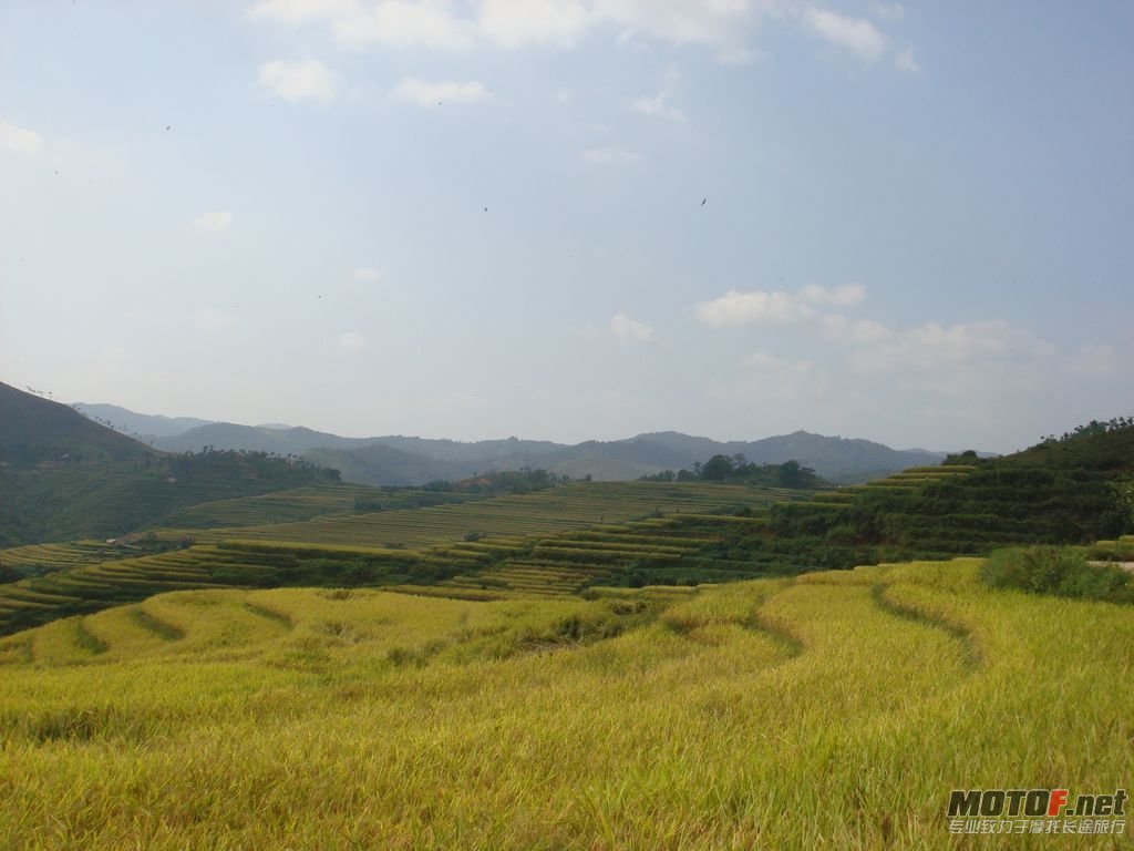 DSC05433.JPG