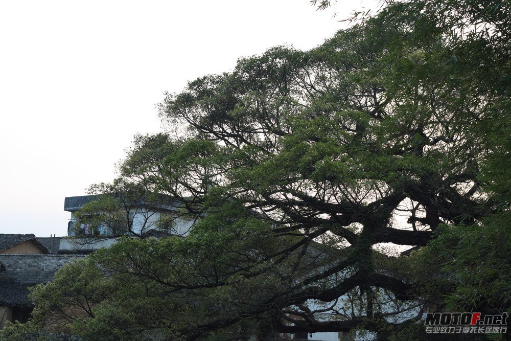 照片 124.jpg
