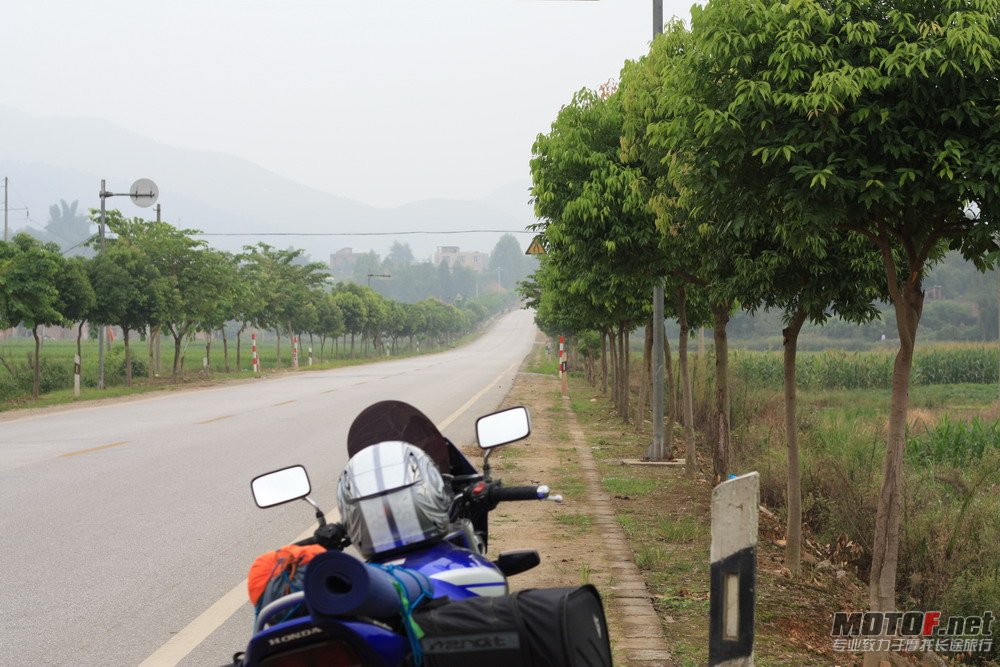 路上的景色