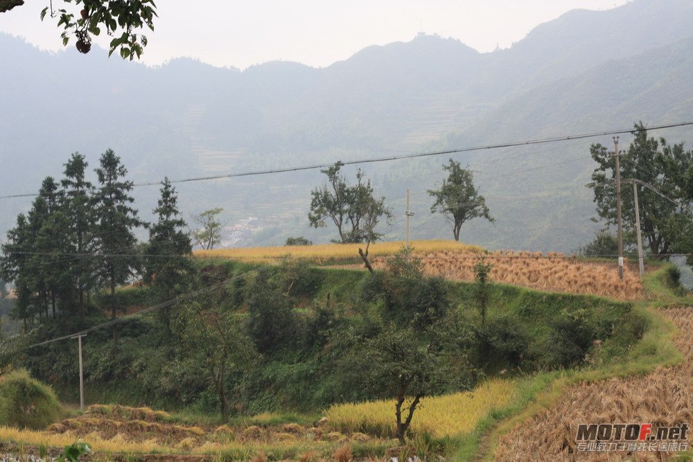 好在去仰天湖的38公里山路都不错,景色也很美