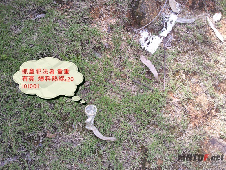相片263_副本.jpg