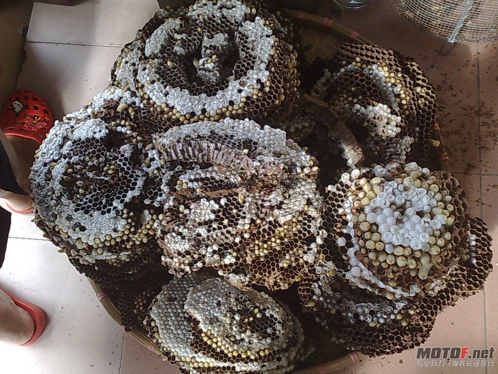 20101002775.jpg