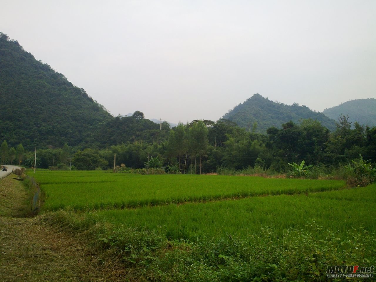 20101008830.jpg