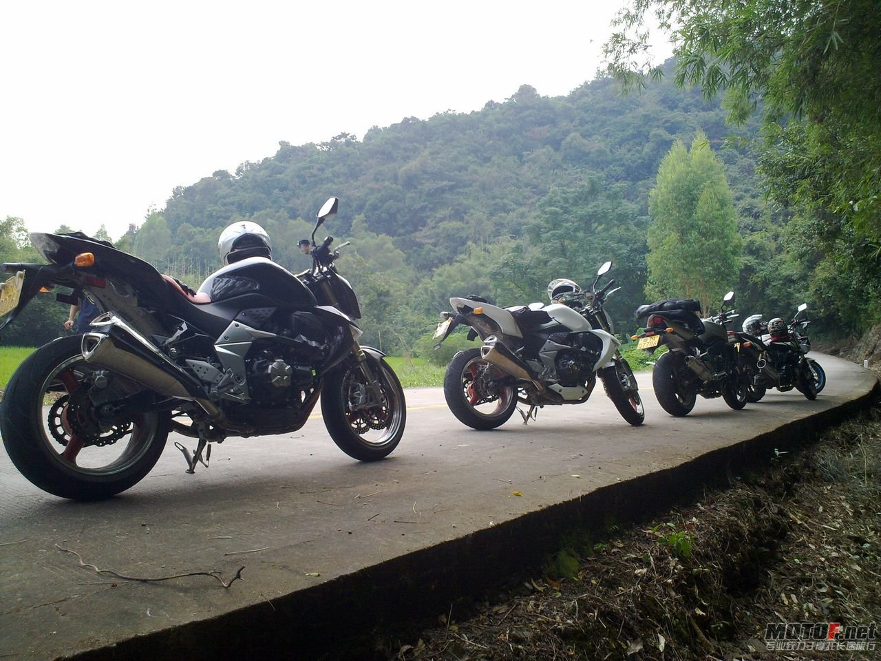 20101008835.jpg