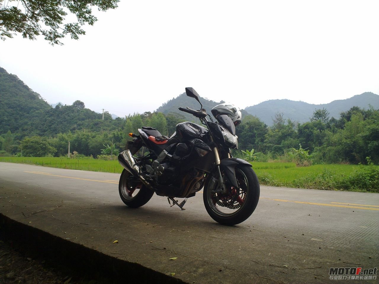 20101008838.jpg