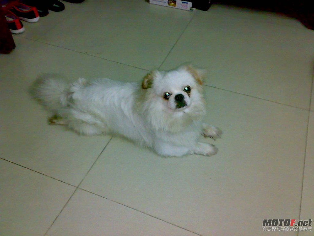 20100604121.jpg