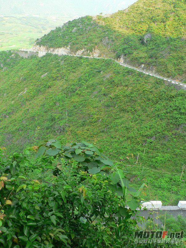 P1040361.jpg