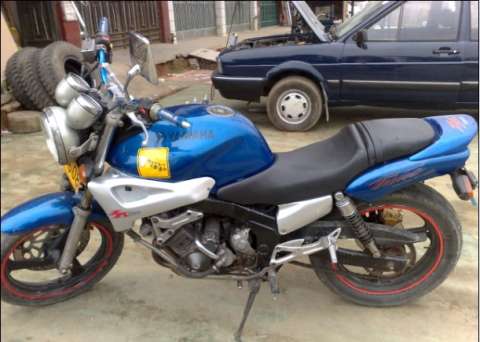 YAMAHA海豚