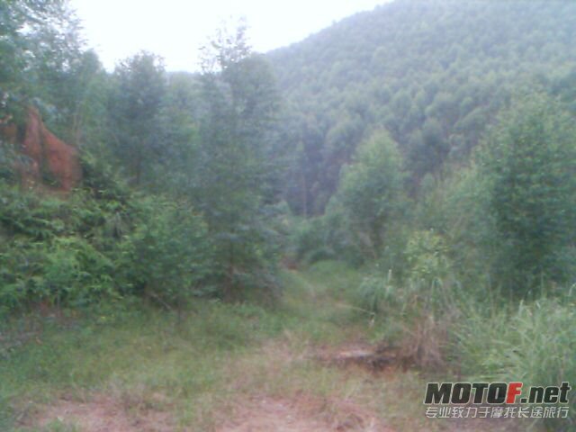 201010171716_00002.jpg