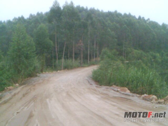 201010171716_00005.jpg