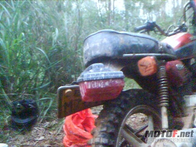 201010171753_00011.jpg