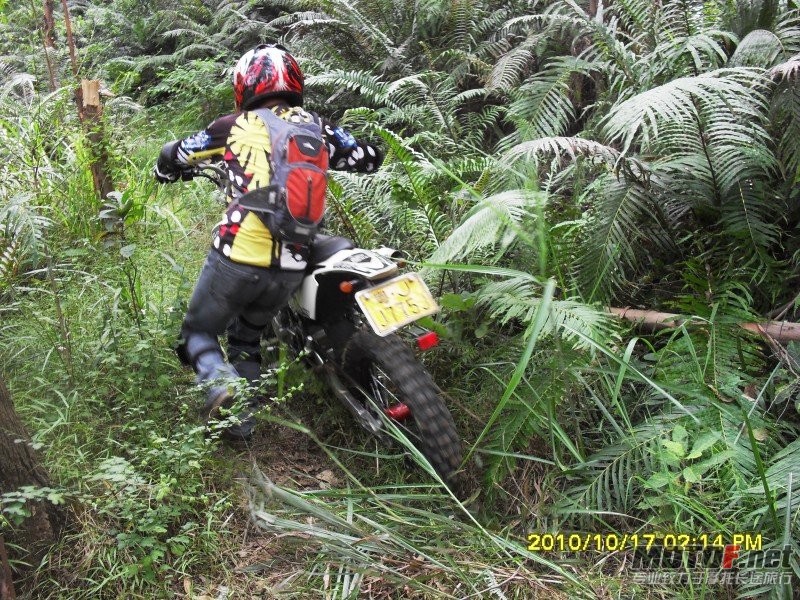 conew_sdc13010.jpg