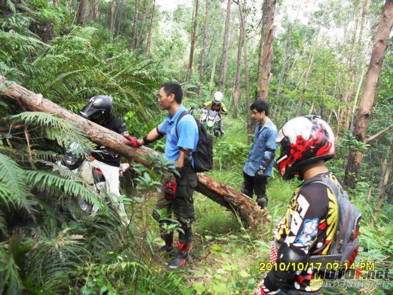 conew_sdc13014.jpg