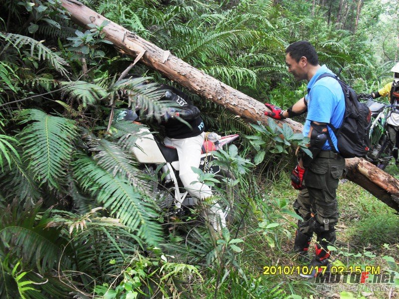 conew_sdc13015.jpg
