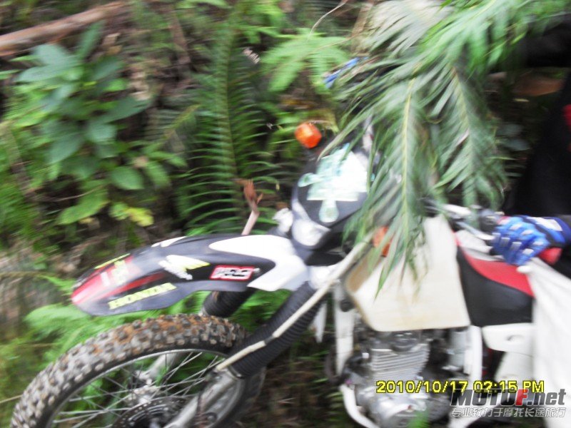 conew_sdc13016.jpg