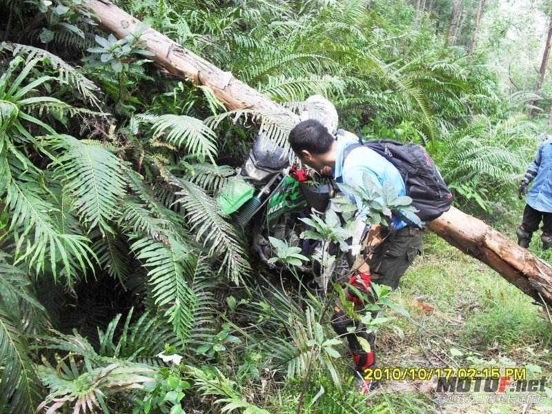 conew_sdc13018.jpg