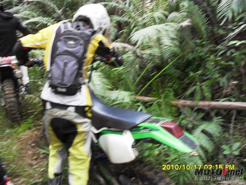 conew_sdc13020.jpg
