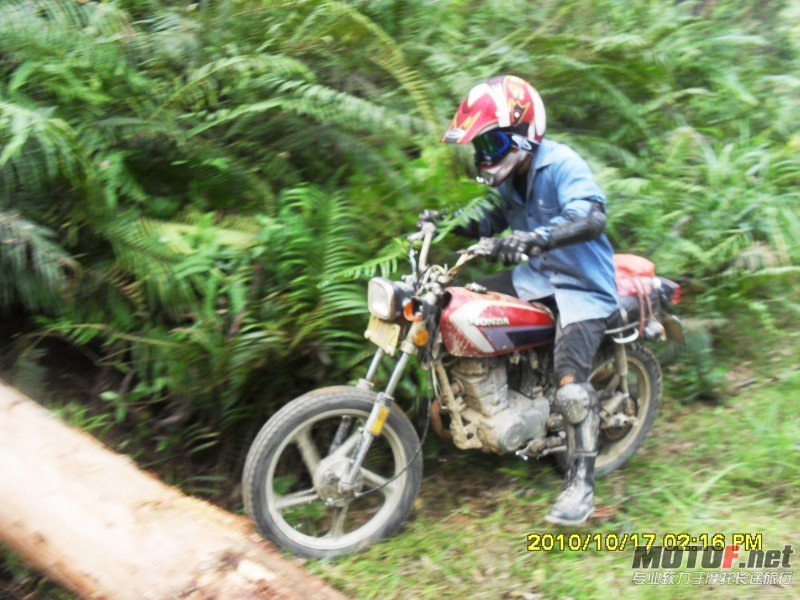 conew_sdc13022.jpg