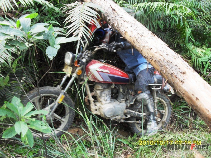 conew_sdc13023.jpg
