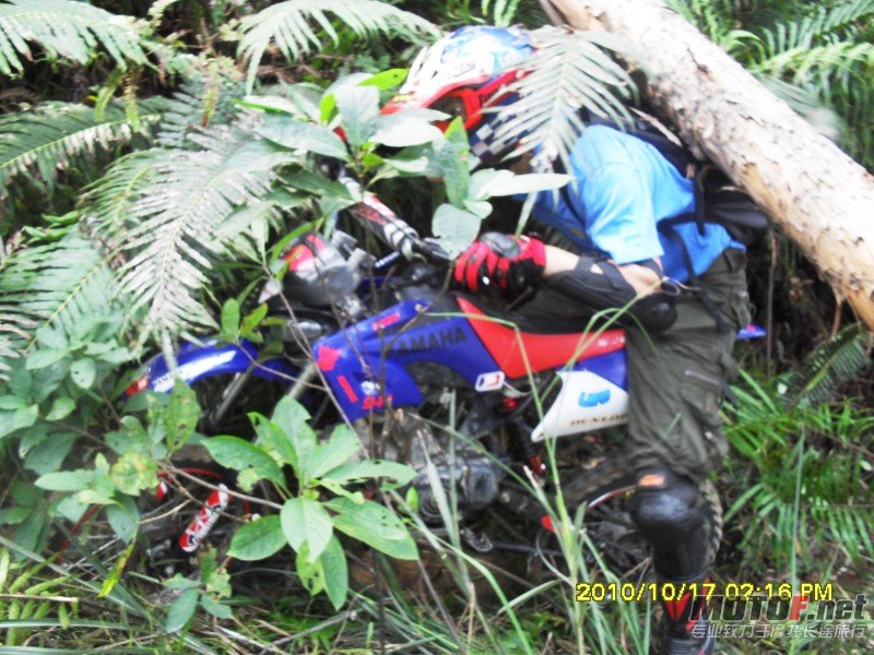 conew_sdc13025.jpg