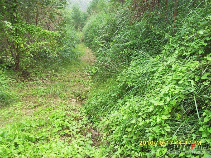conew_sdc13044.jpg