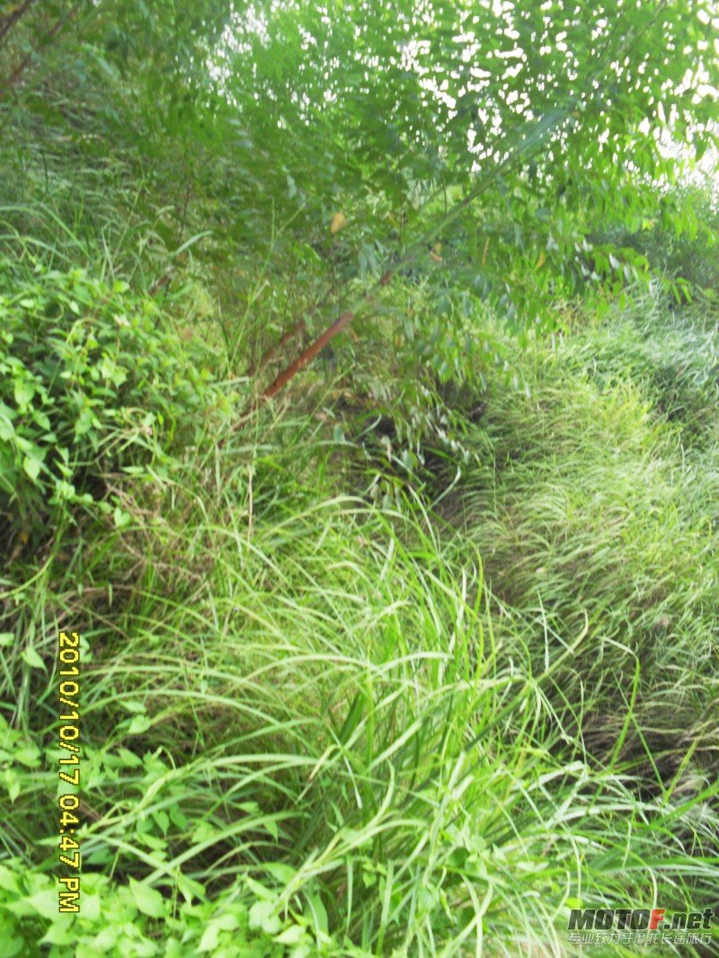conew_sdc13045.jpg