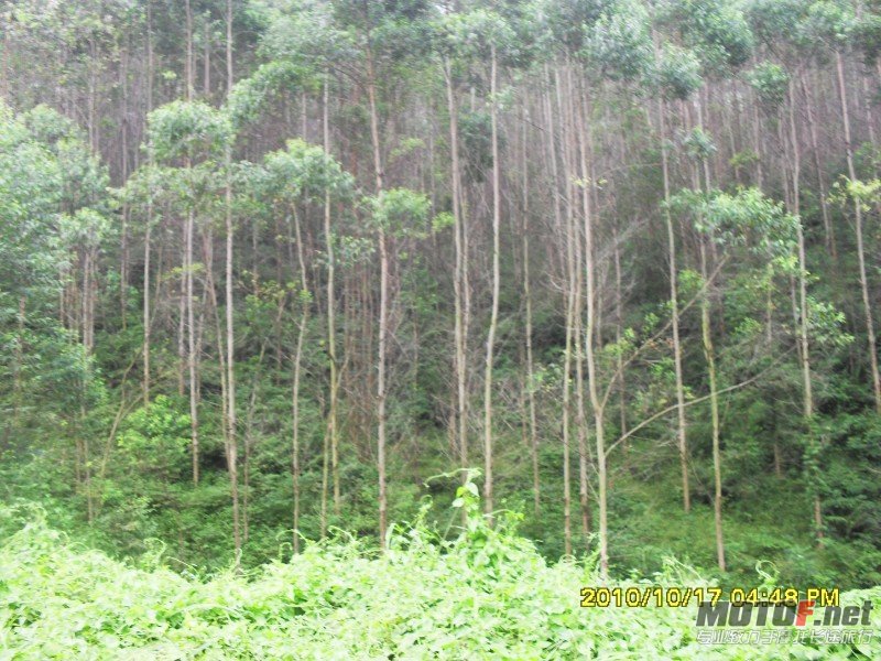 conew_sdc13048.jpg